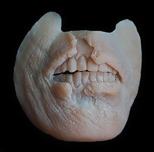 Exposed Teeth / Zombie Mouth Exposed Teeth / Zombie Mouth